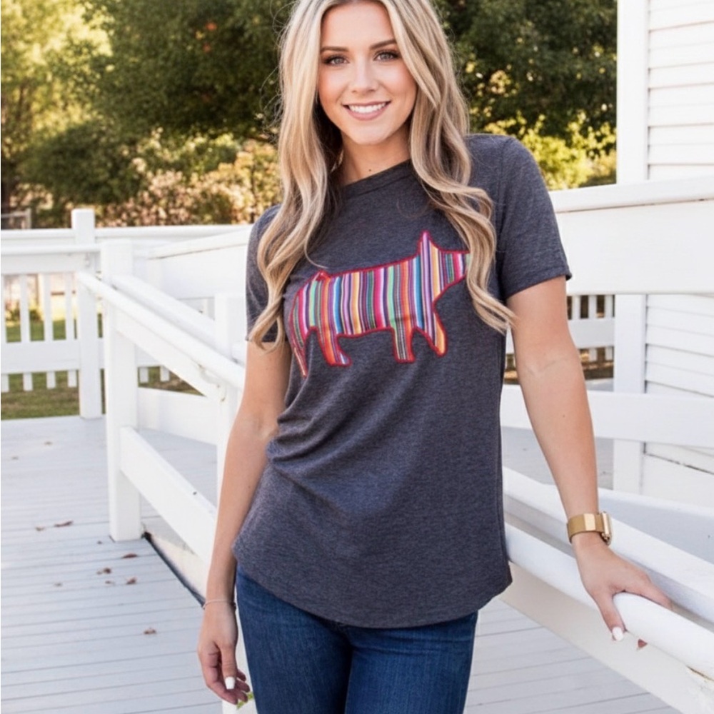 Serape Piggy Graphic Tee